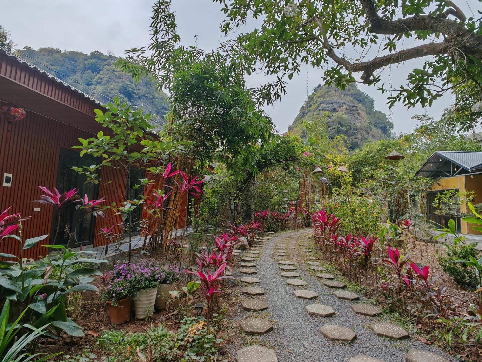 Green Valley Homestay - Thung Lung Xanh Nguyen Ngoai エクステリア 写真
