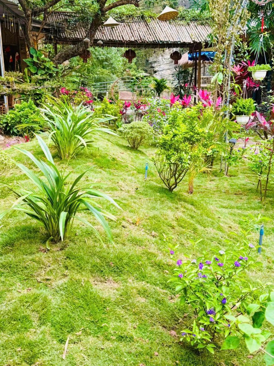 Green Valley Homestay - Thung Lung Xanh Nguyen Ngoai エクステリア 写真