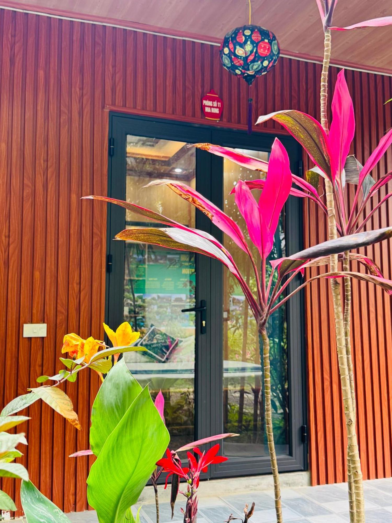 Green Valley Homestay - Thung Lung Xanh Nguyen Ngoai エクステリア 写真